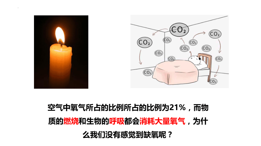 2022-2023学年人教版七年级生物上册 3.5.1光合作用吸收二氧化碳释放氧气 课件   (共20张PPT)