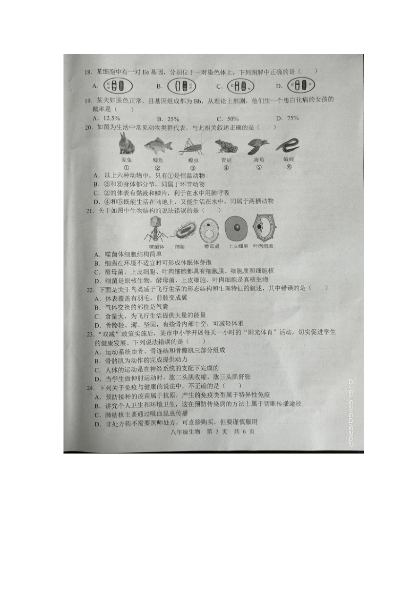 山东省金乡县2022-2023下学期八年级生物5月月考（图片版无答案）