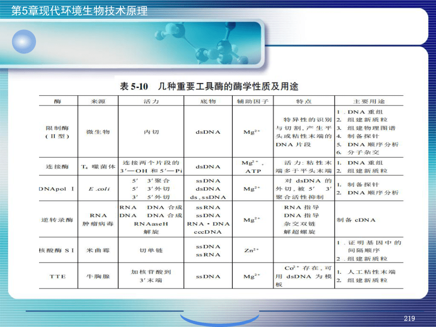 5.现代环境生物技术原理_8 课件(共25张PPT）- 《环境生物化学》同步教学（机工版·2020）