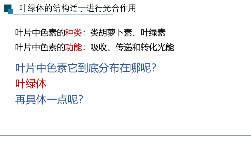 5.4.2光合作用与能量转化课件(共26张PPT)2022—2023学年高一上学期生物人教版必修1