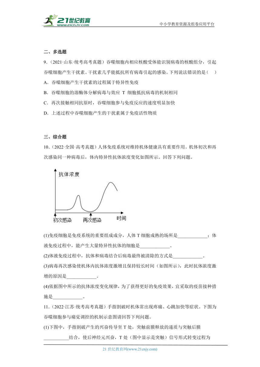 五年2018-2022高考生物真题按知识点分类汇编64-免疫调节-免疫系统的组成和功能（含解析）