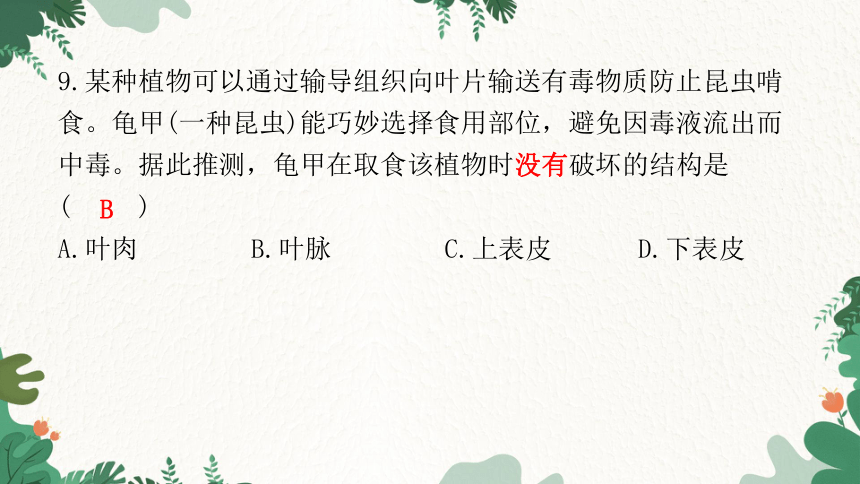 2023年广东省初中学业水平考试仿真试卷(一)课件(共42张PPT)