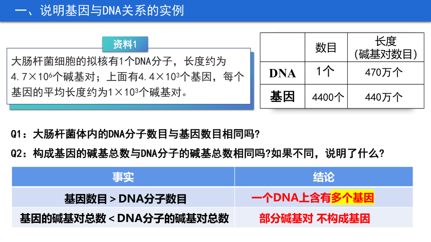 3.4 基因通常是有遗传效应的DNA片段课件(共28张PPT)-人教版必修2