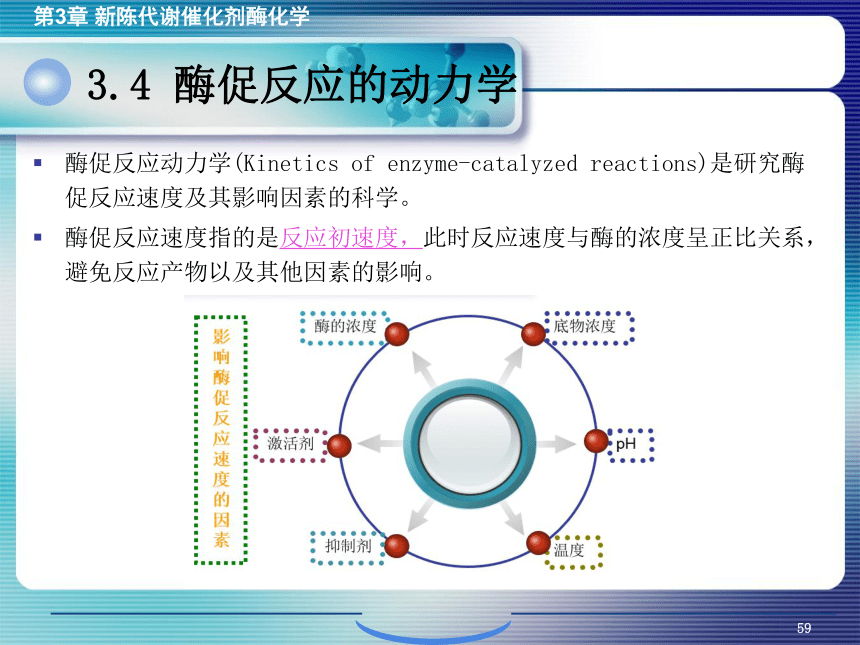 3.4酶促反应的动力学 课件(共41张PPT)- 《环境生物化学》同步教学（机工版·2020）