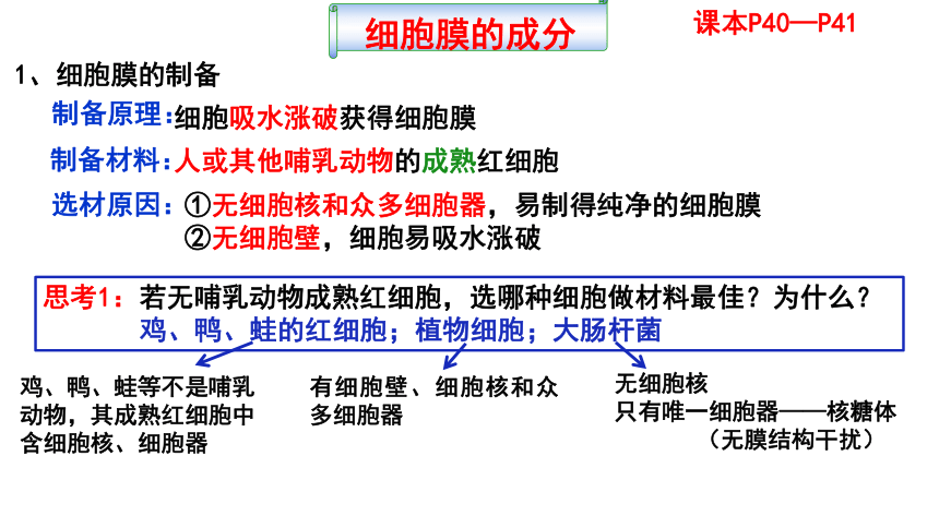 【备考2022一轮复习】&1.3细胞膜、细胞膜探索历程、细胞核（共33张ppt）