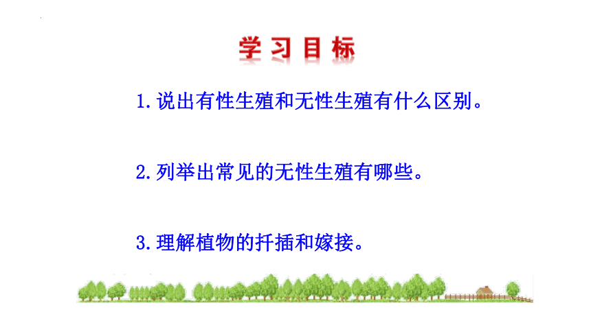 7.1.1  植物的生殖   课件-（31张PPT）2022-2023学年人教版生物八年级下册