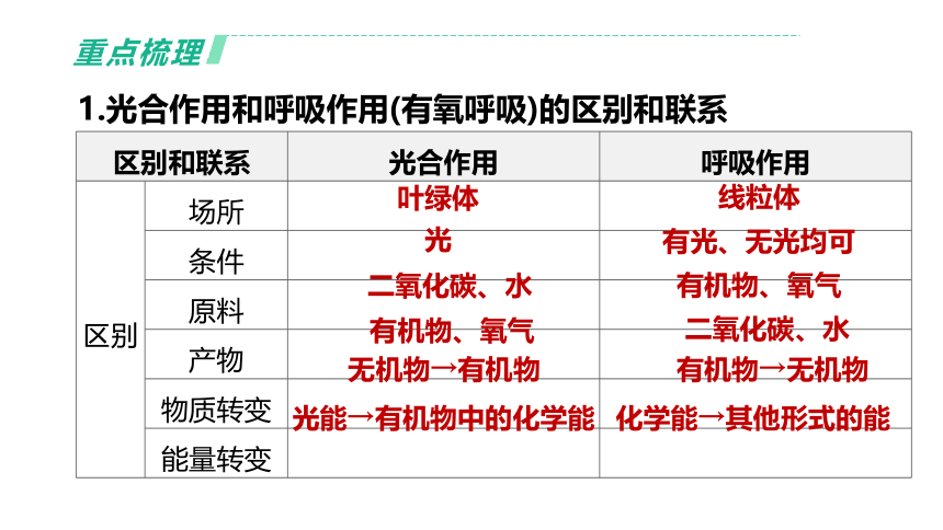 2022年浙江省中考科学一轮复习 第04课时　绿色植物的光合作用和呼吸作用（课件 64张PPT）