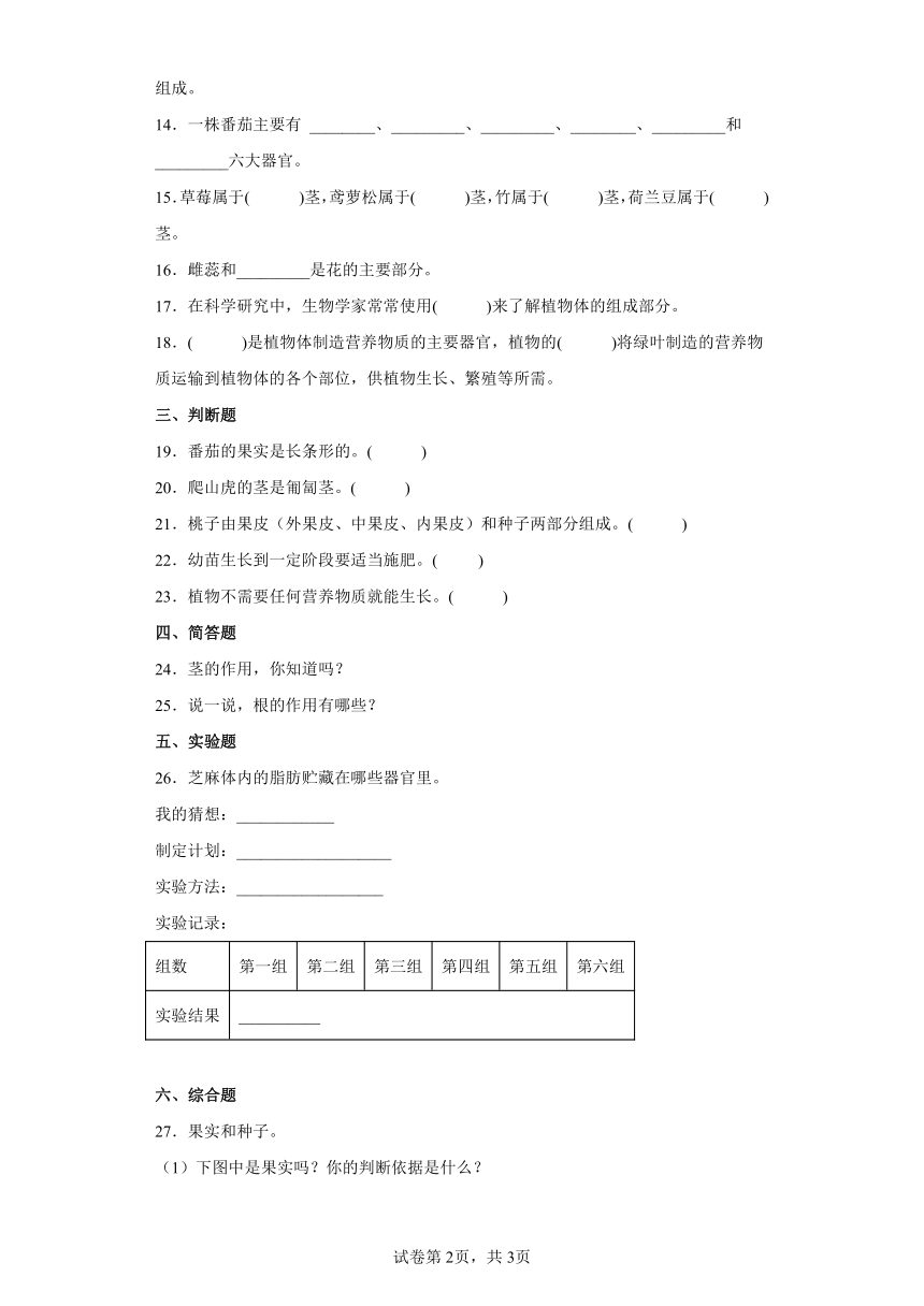 2021-2022学年度粤教版三年级下册科学第三单元植物的身体检测题（含答案）