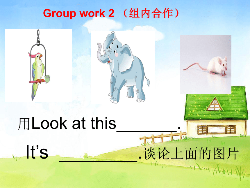 Unit 3 Look at the elephant. 课件(共15张PPT)