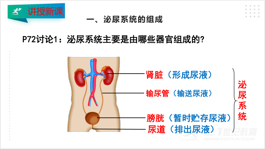 4.5人体内废物的排出 课件（30张PPT）