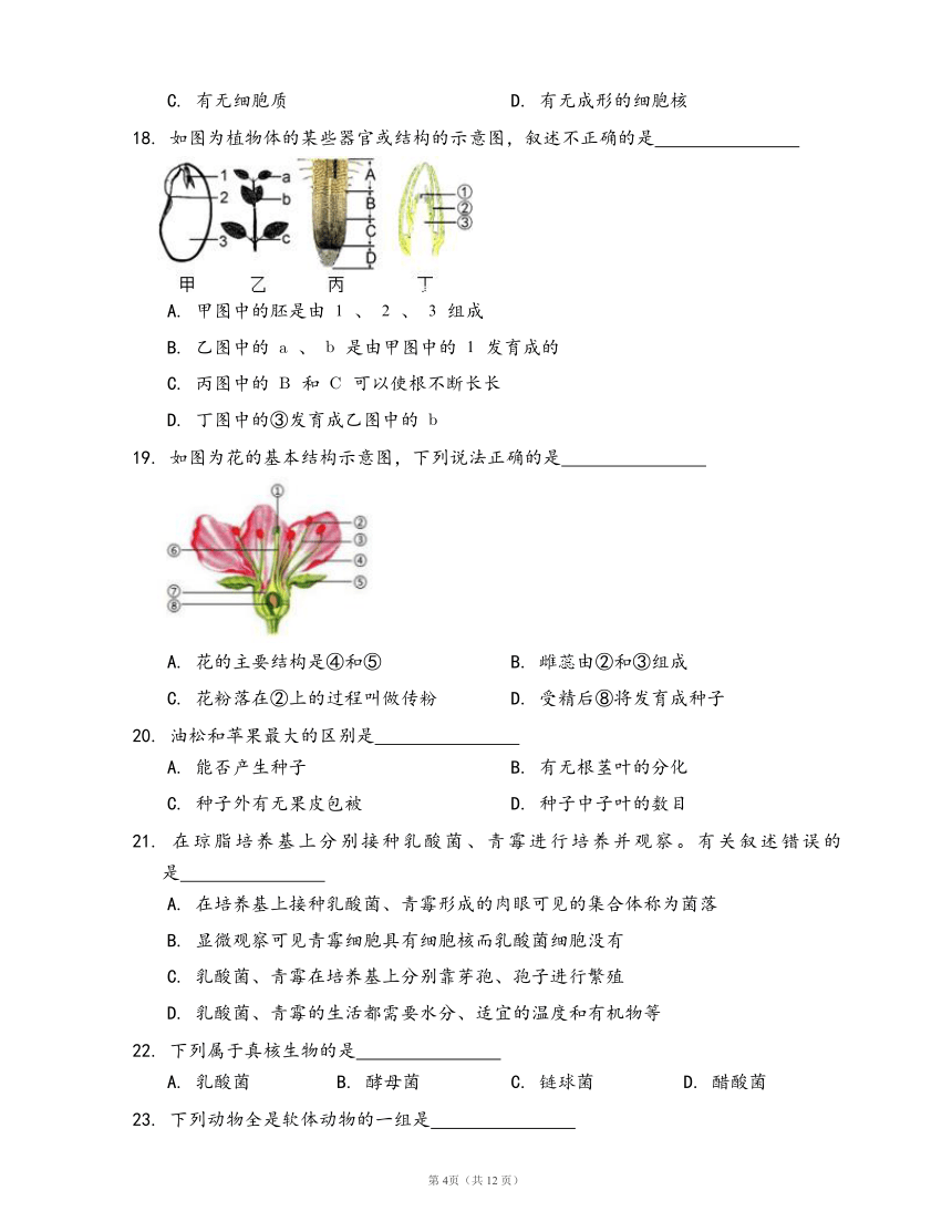 沪教版生物单元检测卷第二册第4章 生物的类群(word版，含答案解析）