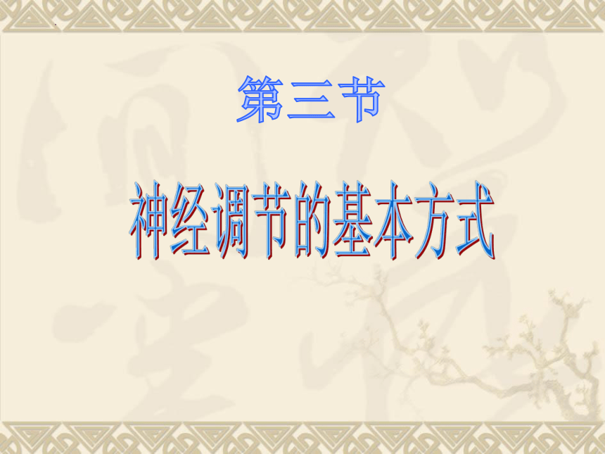 3.5.3神经调节的基本方式课件(共33张PPT)2022--2023学年济南版生物七年级下册