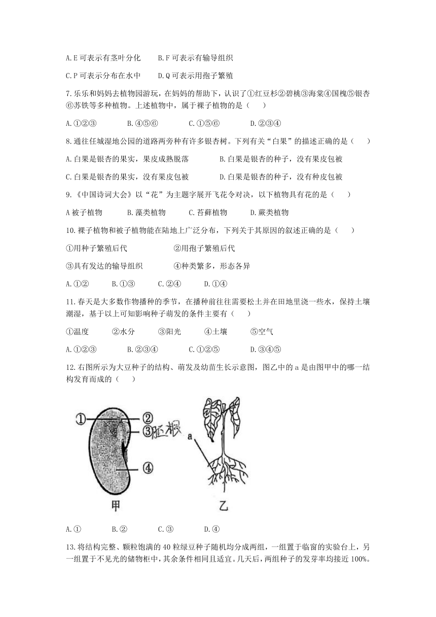 山东省济宁市济宁学院附属中学2022-2023学年六年级下学期期中生物试题（含答案）