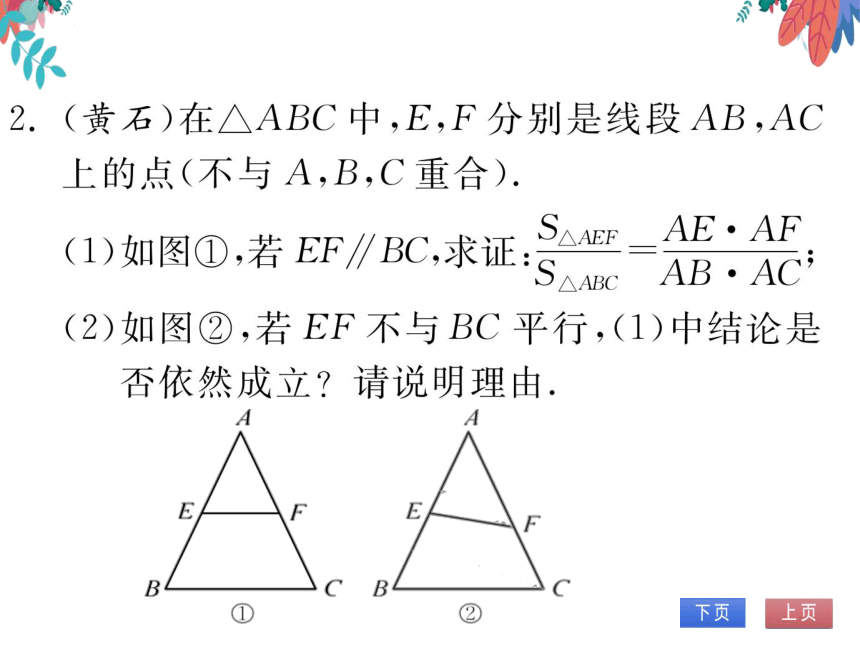 【沪科版】数学九年级上册 第22章 专题四 相似三角形的综合运用 习题课件