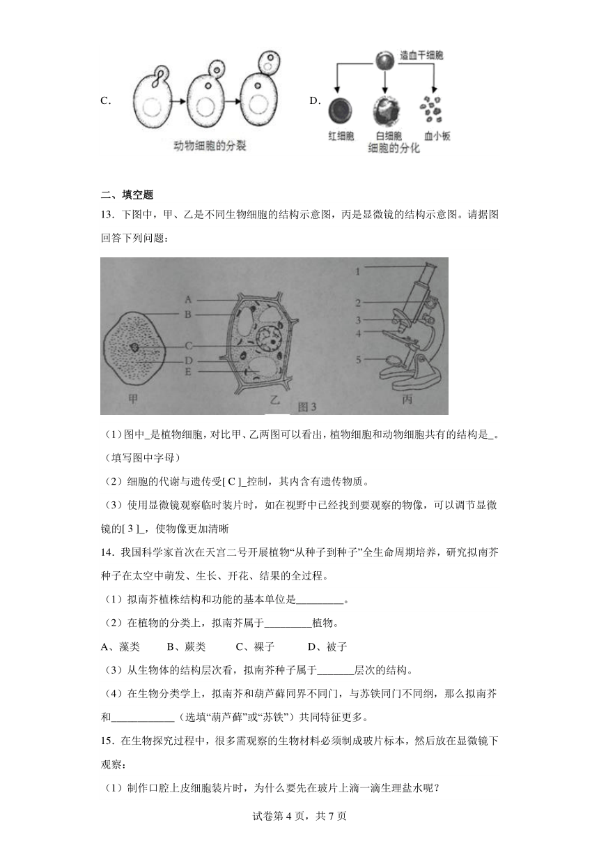 第四章 生物体的结构层次 同步训练  华东师大版科学七年级上册（含解析）