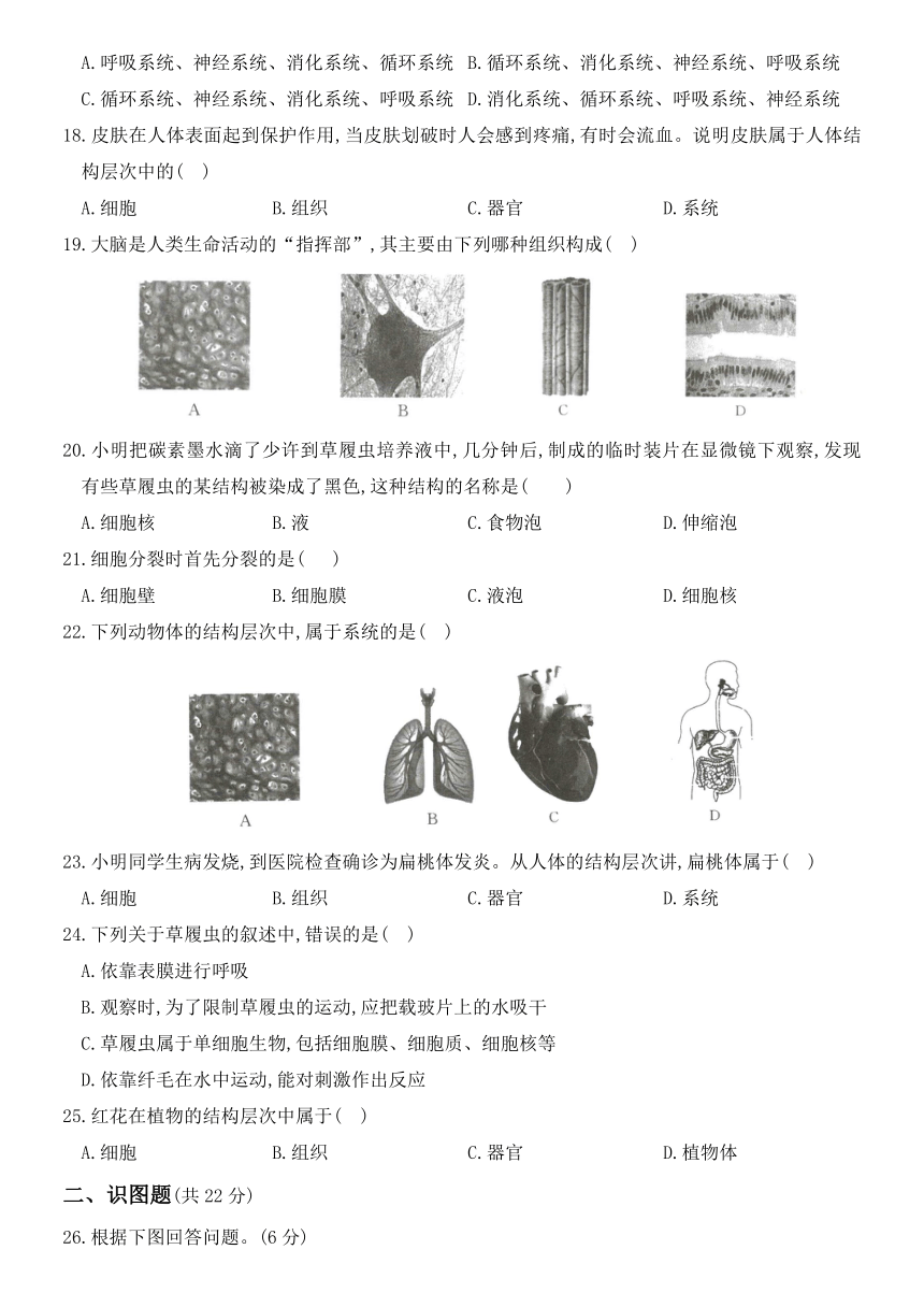 人教版2020年（秋）七年级生物上册：第二单元第二章《细胞怎样构成生物体》单元测试（Word版含部分答案解析）