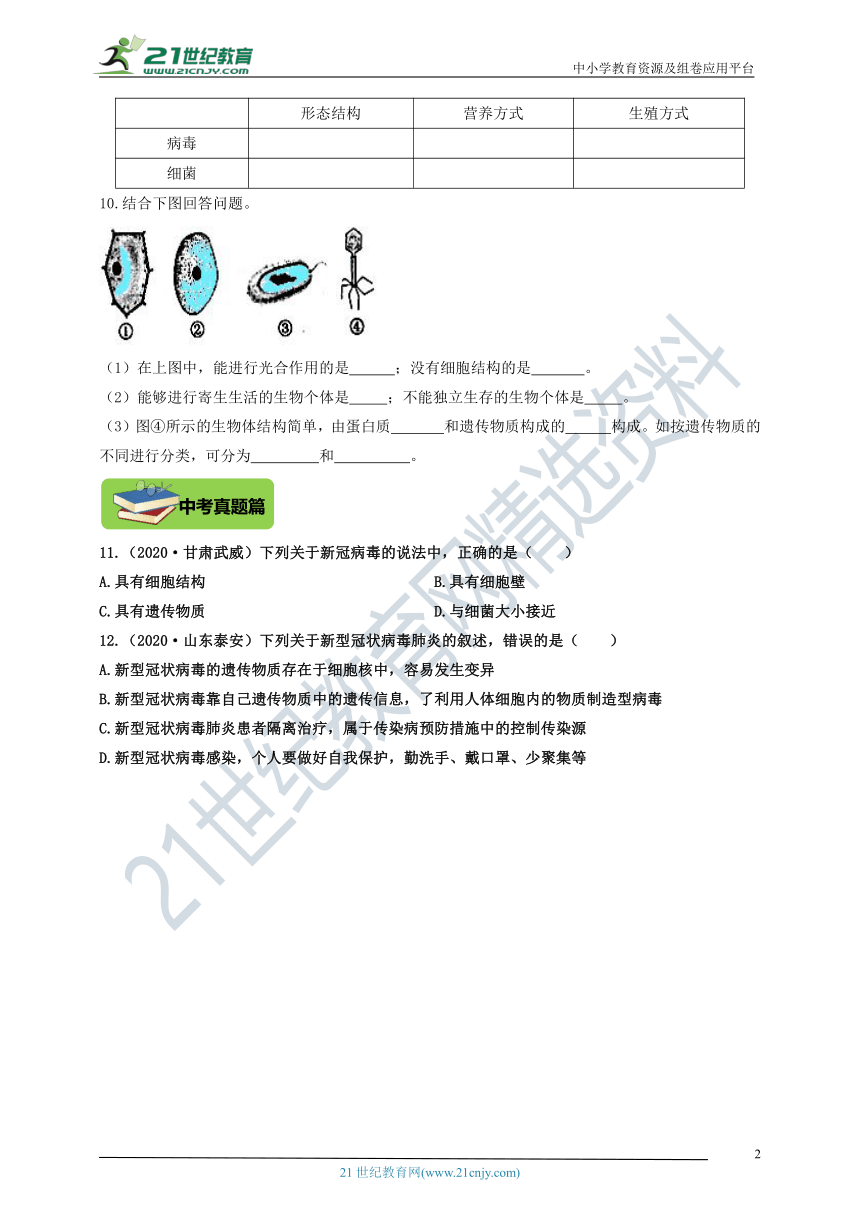 5.1.2《病毒》精编精炼（含答案）