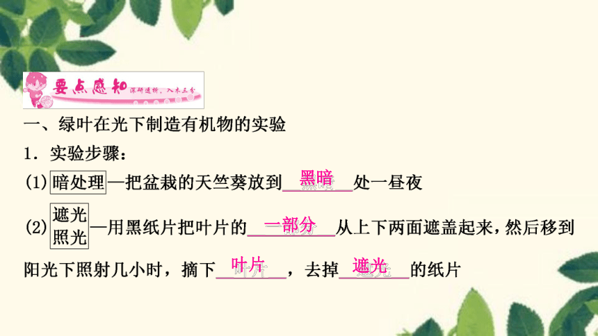 人教版生物七年级上册 第四章　绿色植物是生物圈中有机物的制造者 课件（共21张PPT）