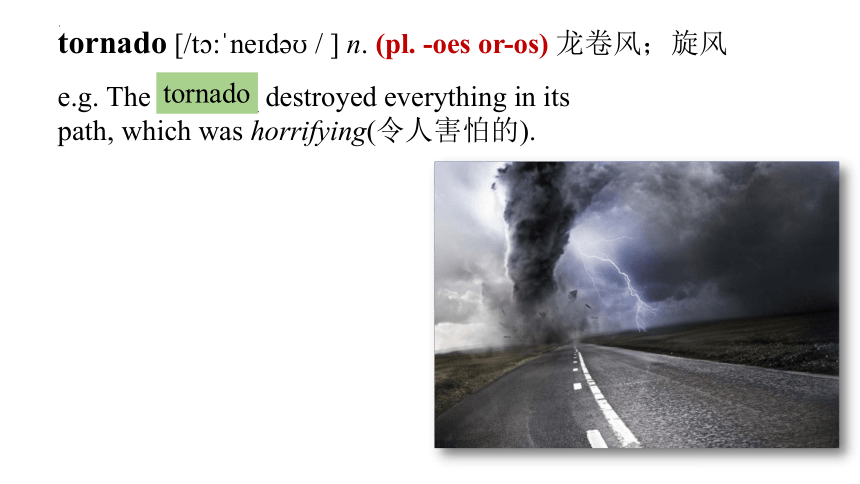 人教版（2019）必修 第一册Unit 4 Natural Disasters Words and Expressions课件(共80张PPT)