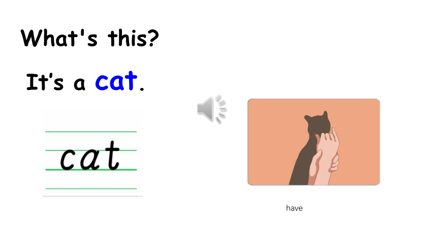 Unit 3 Animals  Lesson 1 课件(共25张PPT)