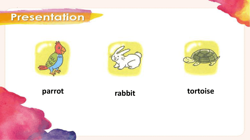 Starter A Unit13 This is his rabbit. 课件(共49张PPT)