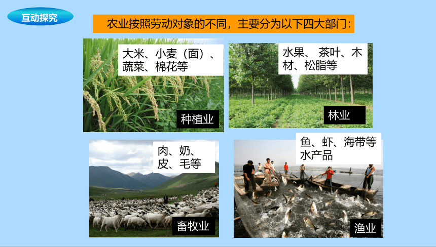 中图版（北京）地理七年级下册5.1.1农业的分布课件(共32张PPT)