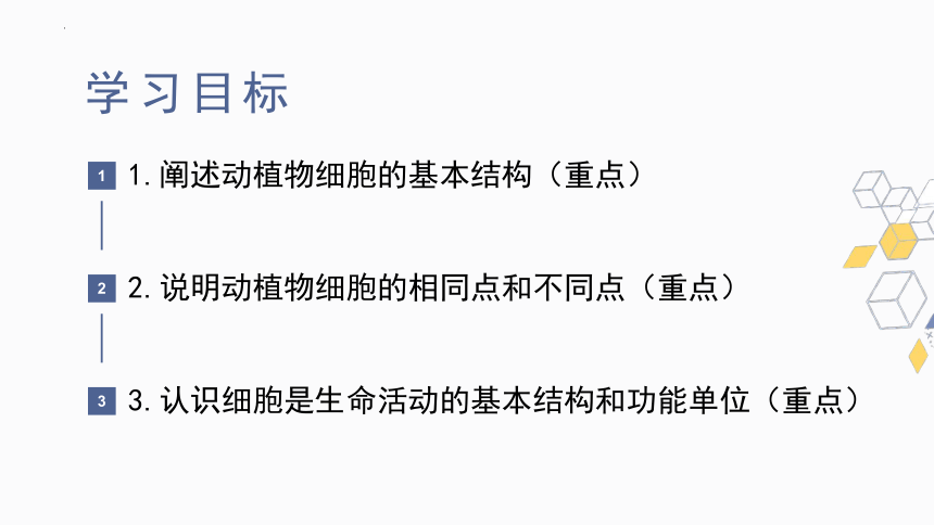 1.2.1细胞——细胞的结构 课件(共30张PPT)2022-2023学年冀教版生物七年级上册