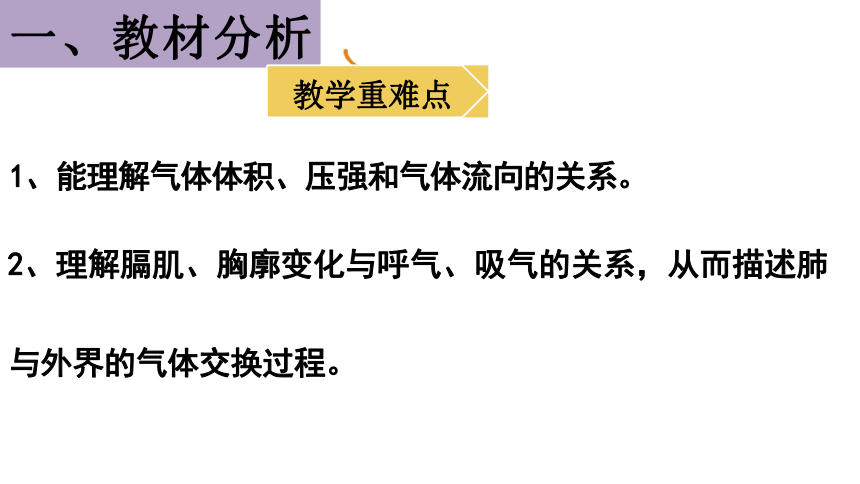 4.3.2发生在肺内的气体交换——胸廓变化与呼吸的关系实验说课课件 (共25张PPT)人教版生物七年级下册