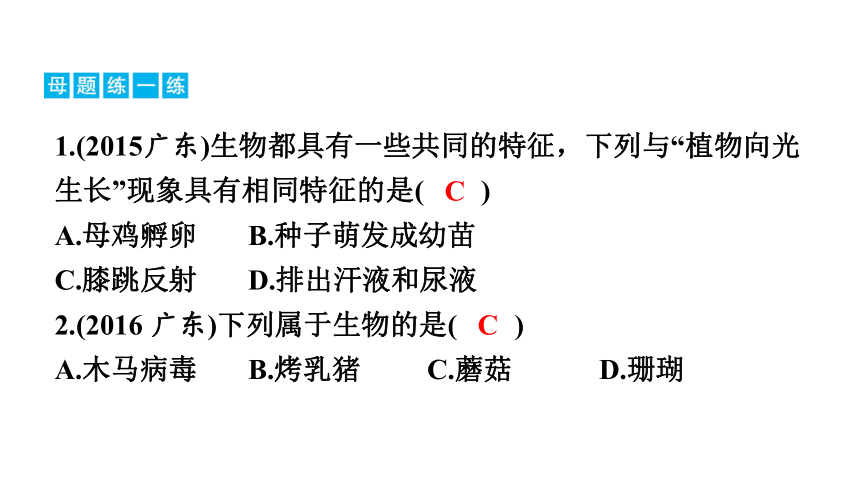 2023年中考生物复习专题训练 第一章　认识生物课件（(共46张PPT)）