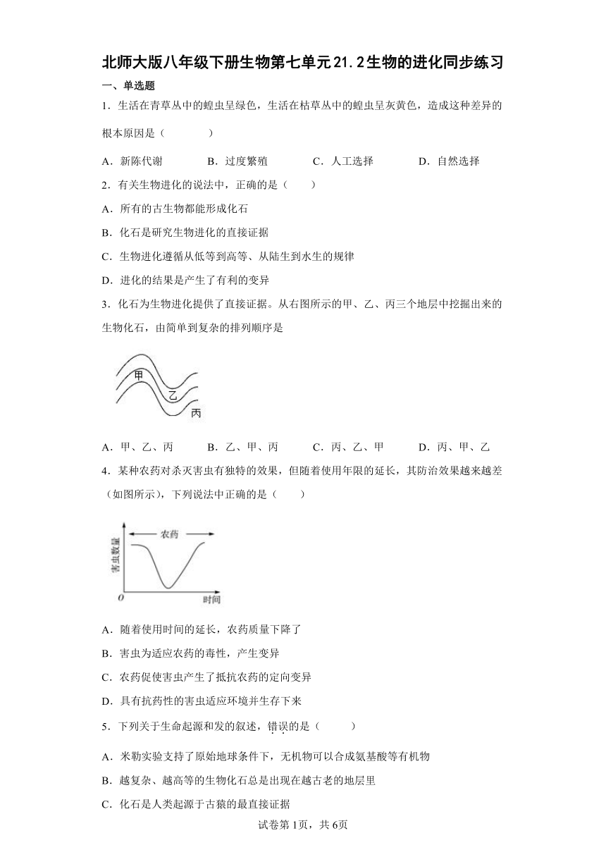 北师大版八年级下册生物第七单元21.2生物的进化同步练习（word版含答案）