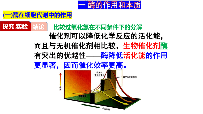 5.1降低化学反应活化能的酶课件(共41张PPT)