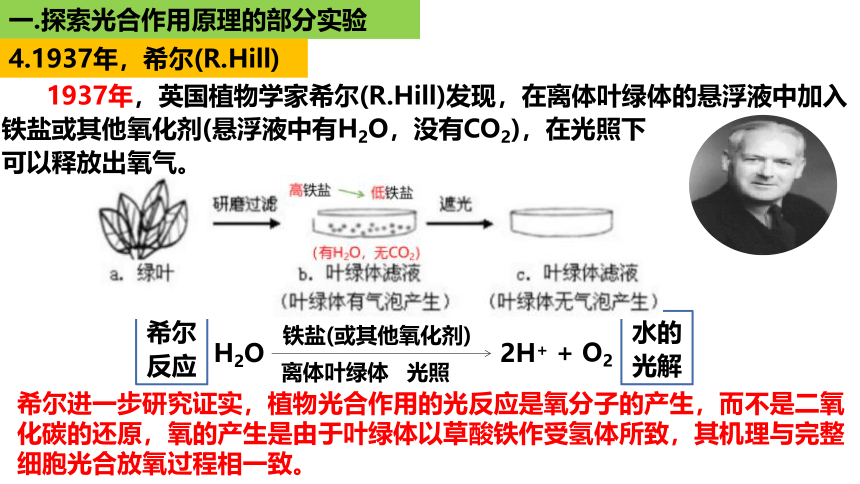 新人教必修1专题复习课件：18 光合作用2（光合作用的过程）(共44张PPT)