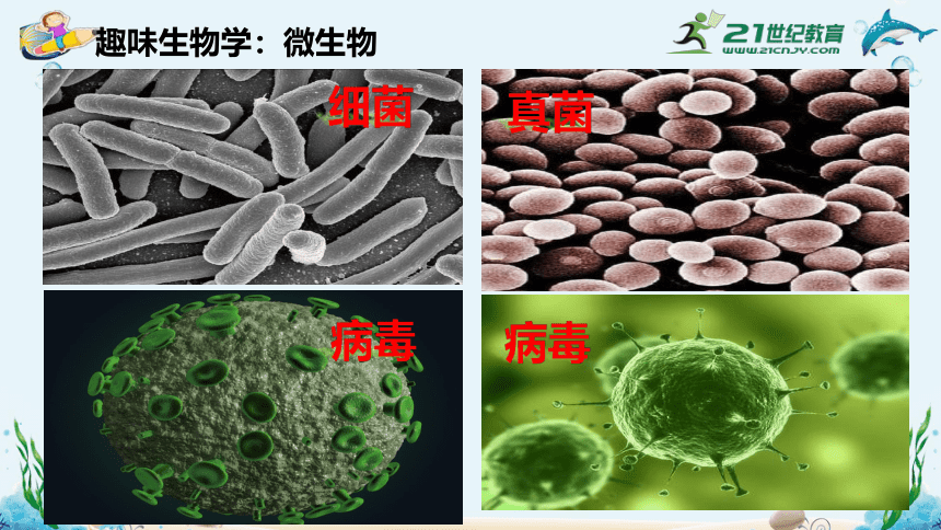 人教版生物七年级上开学第一课＋1.1.1《生物的特征》课件(38张PPT)