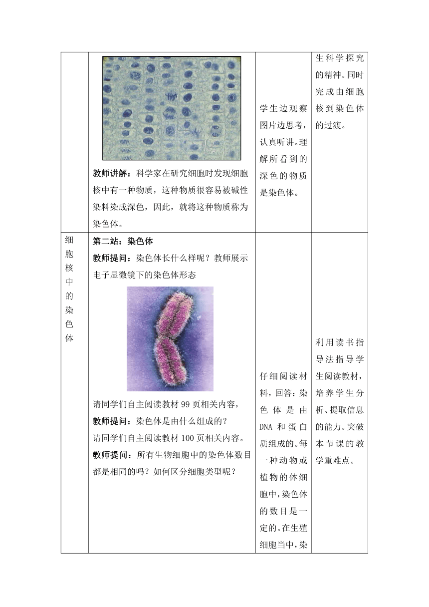 北师大版生物八年级上册 第20章 第2节 性状遗传的物质基础教案