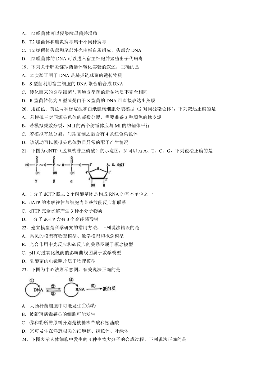 浙江省9+1高中联盟2022-2023学年高一下学期期中考试生物学试题（Word版含解析）