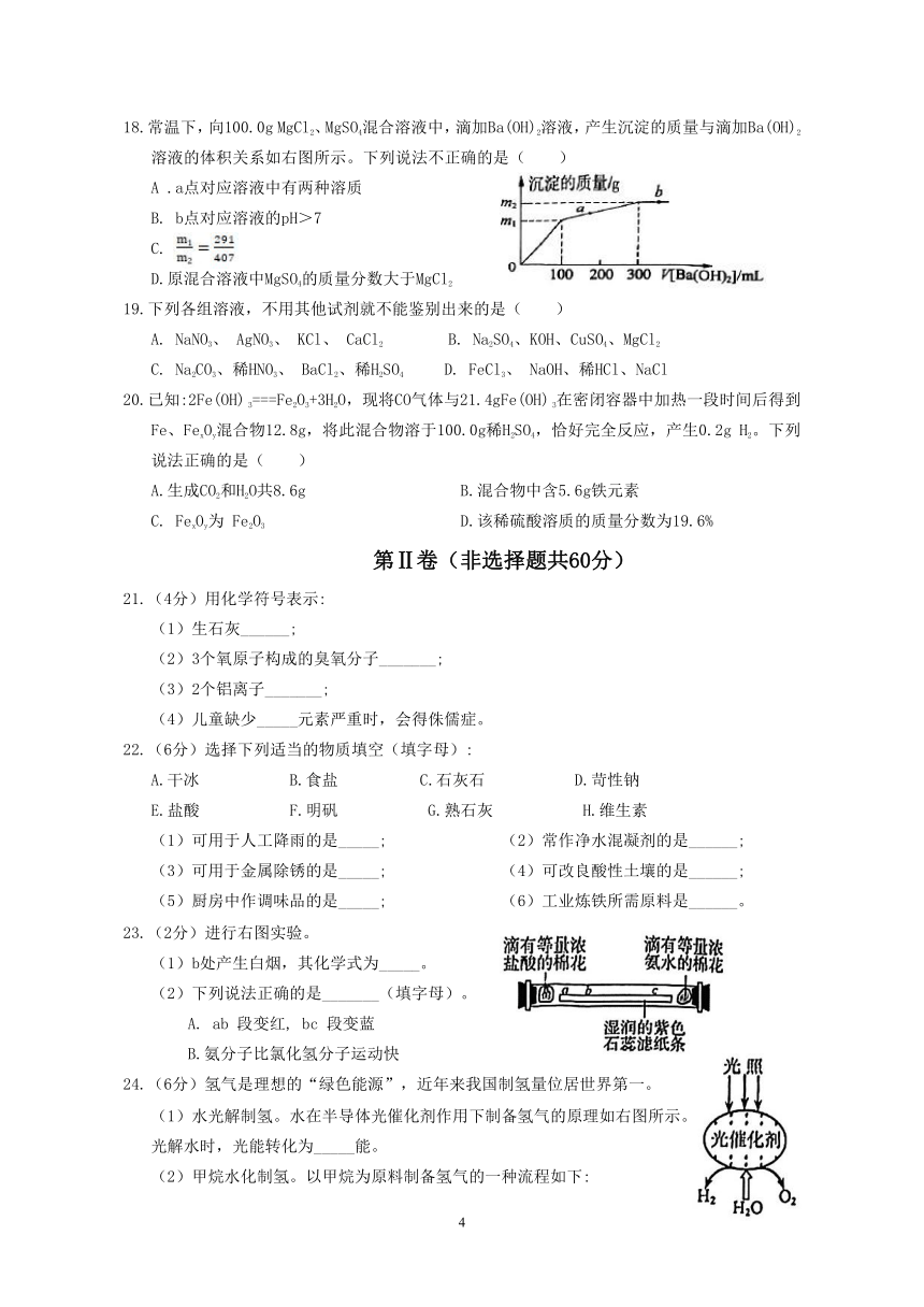 2024年江苏省苏州市中考化学一模练习卷（10）（含答案)