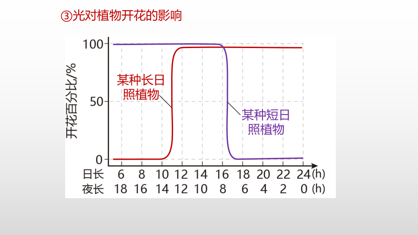 2021—2022学年高中生物人教版（2019）选择性必修一5.4 环境参与调节植物的生命活动课件（29张ppt）