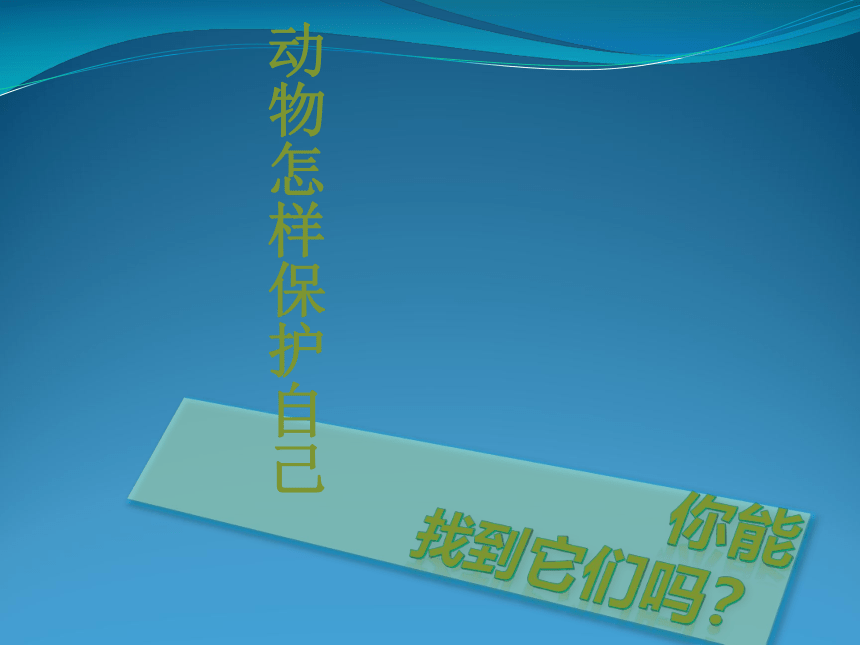 动物怎样保护自己（课件） 综合实践活动五年级下册 教科版（21张PPT）