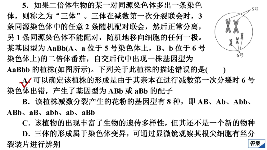 高考生物复习用卷：单元测试(六)　变异与进化（56张PPT）