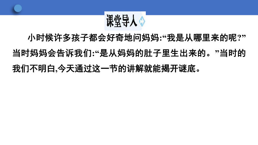 6.1.3 人的生殖和胚胎发育课件(共23张PPT)2023-2024学年初中生物冀少版八年级下册