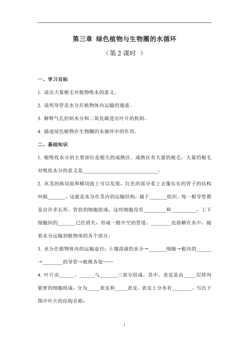 3.3绿色植物与生物圈的水循环（第2课时）学案（答案不全）初中生物人教版七年级上册