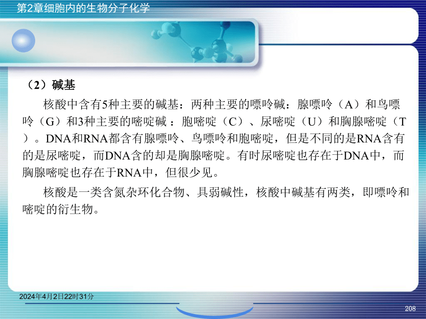 2.5核酸化学 课件(共47张PPT）- 《环境生物化学》同步教学（机工版·2020）