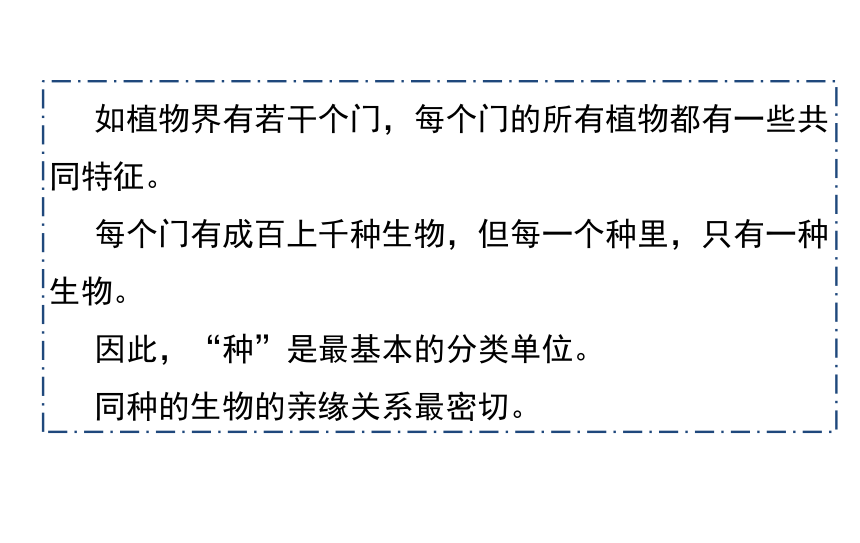 6.1.2  从种到界 课件 (共32张PPT)2021-2022学年人教版生物八年级上册