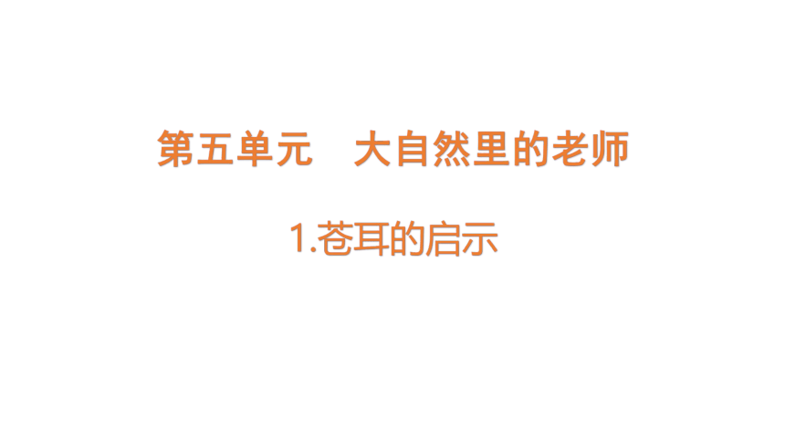 大象版（2017秋）科学五年级下册5.1  苍耳的启示 课件(共14张PPT)