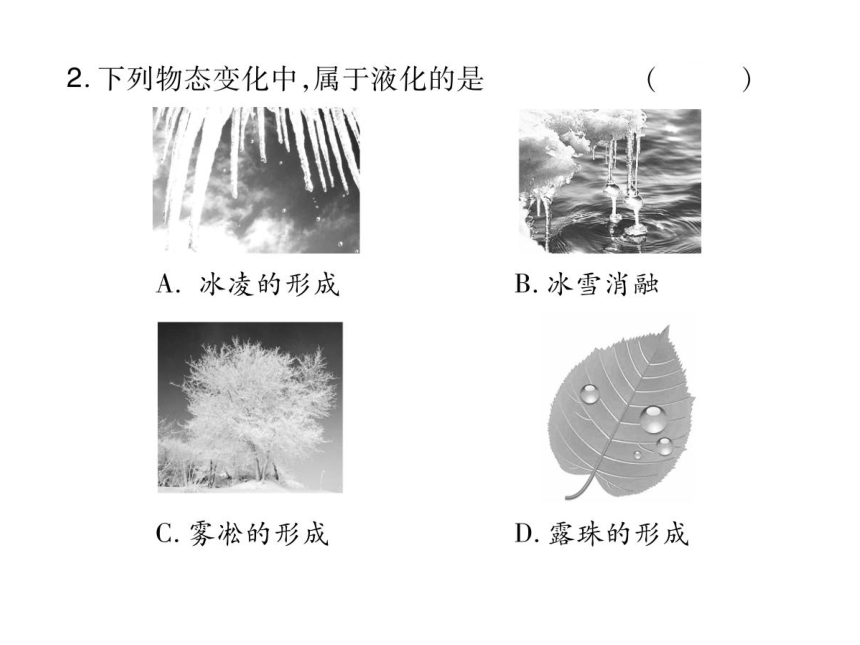 2021-2022学年八年级上册人教版物理习题课件 第三章 章末整理与复习(共30张PPT)