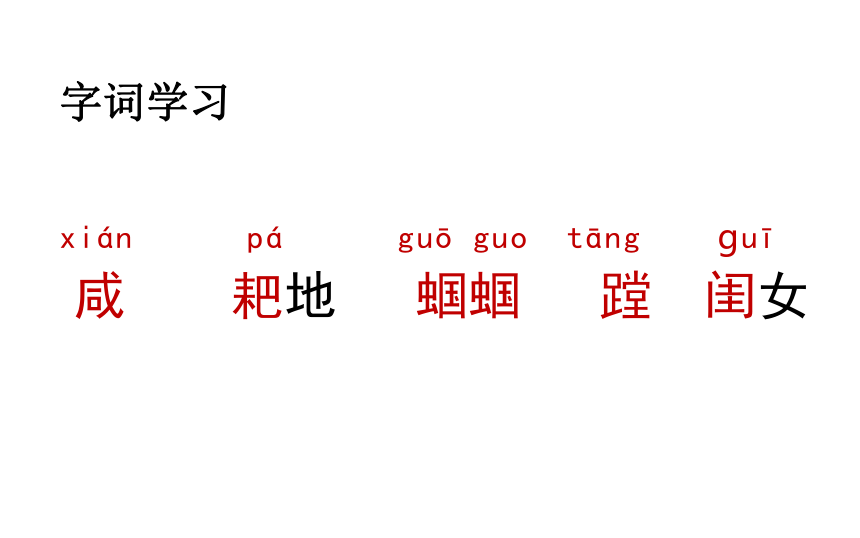 21三黑和土地   课件（19张PPT)