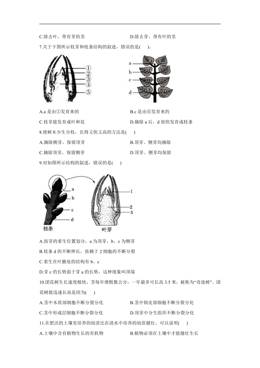 3.2.2植株的生长同步练习（word版含解析）2021-2022学年人教版生物七年级上册