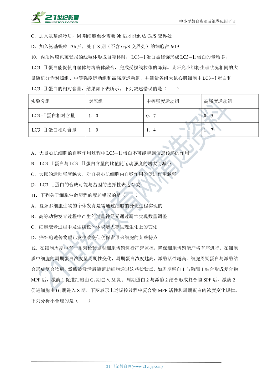 人教版（2019）高中生物必修一第6章 细胞的生命历程 单元检测（Word版含答案）