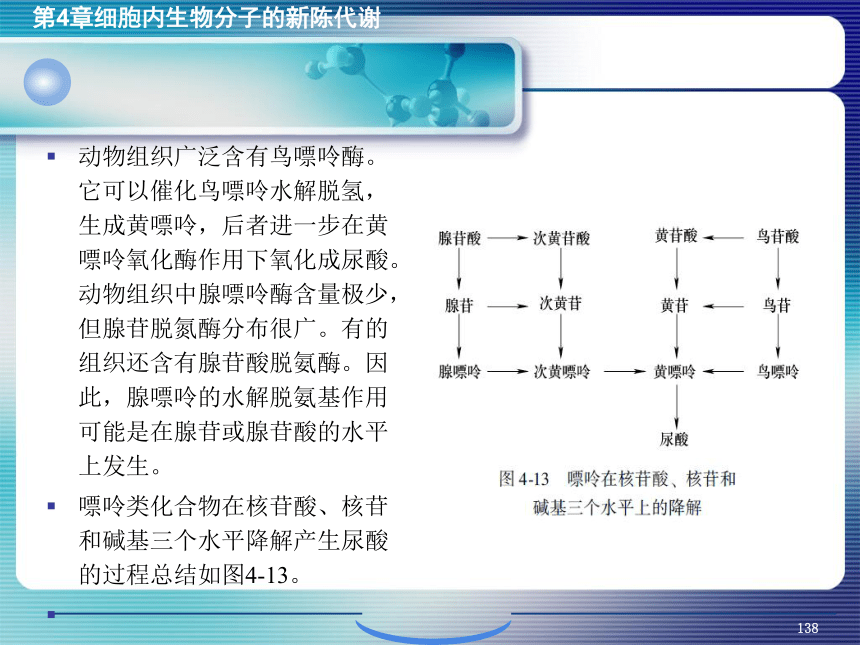 4.细胞内生物分子的新陈代谢_5 课件(共62张PPT）- 《环境生物化学》同步教学（机工版·2020）