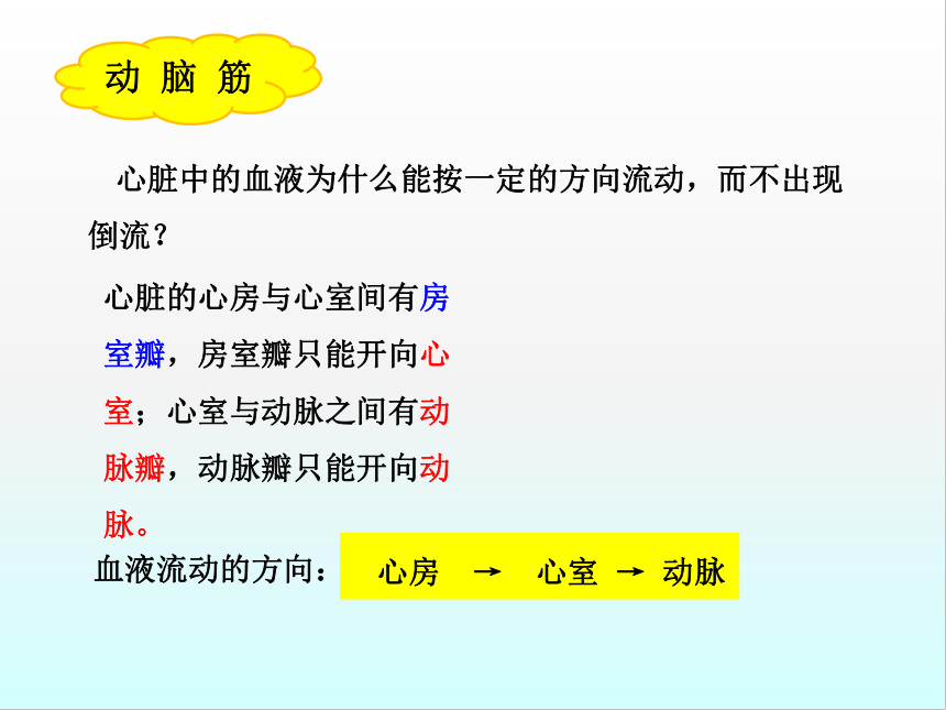 鲁科版（五四制）七年级上册生物4.4.3物质运输的途径课件（25张PPT）